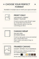 a poster with instructions for how to use a camera
