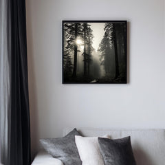 Redwood Forest Wall Art, Misty Tree Landscape Print, Sunlight Through Trees Poster, Calm Nature Home Decor, Black and White Framed Canvas