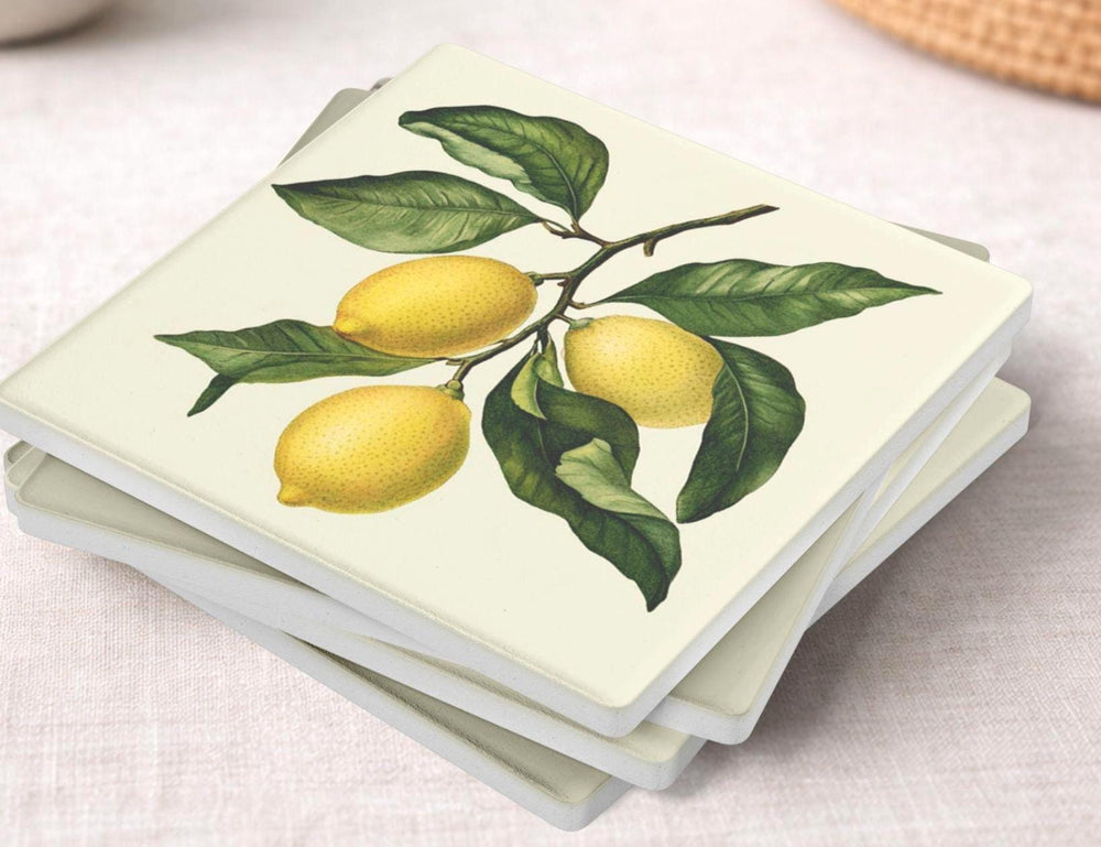 Lemon Branch Coaster Set of 4, Classic Botanical Kitchen Decor, Vintage Citrus Drink Coasters, Fresh Table Style
