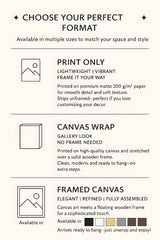 a poster with instructions for how to use a camera