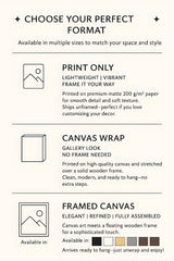 a poster with instructions for how to use a camera