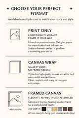 a poster with instructions for how to use a camera