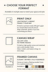 a poster with instructions for how to use a camera