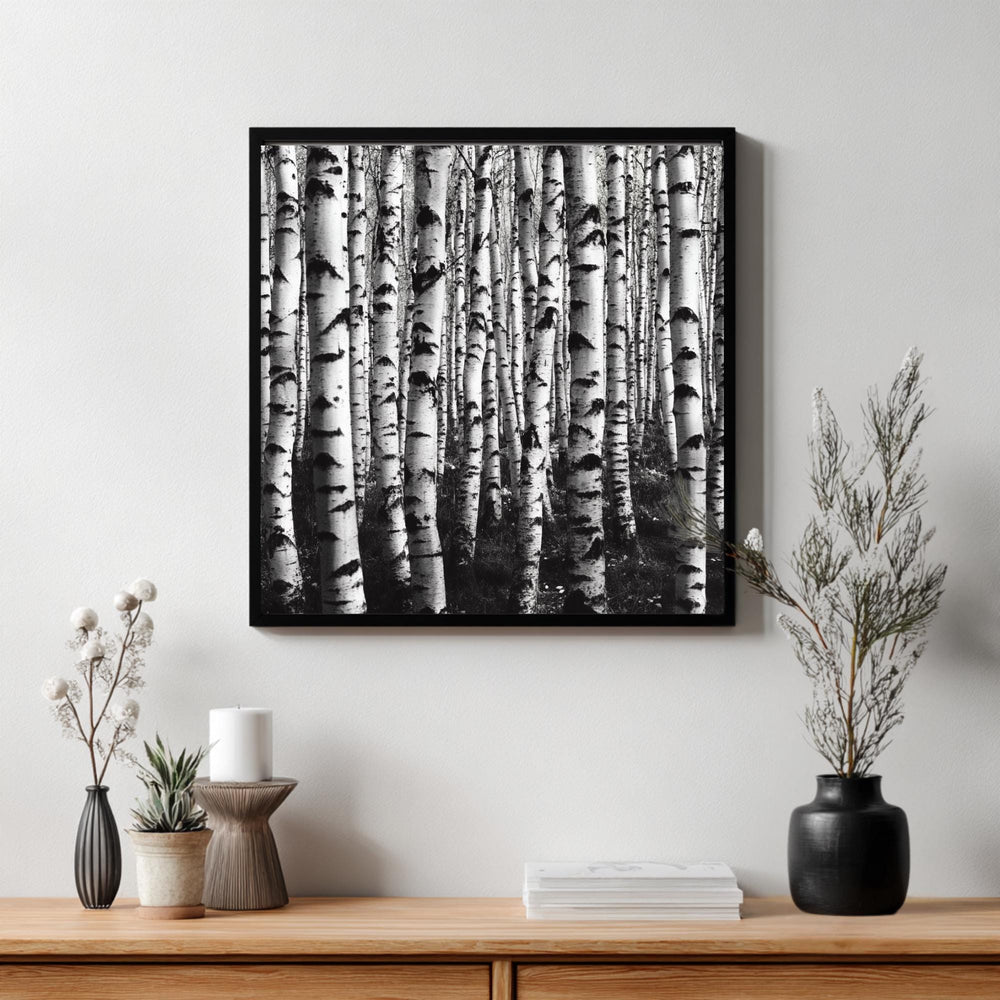 Black and White Birch Forest Wall Art, Minimalist Nature Canvas Print, Scandinavian Style Birch Tree Poster, Modern Woodland Home Decor