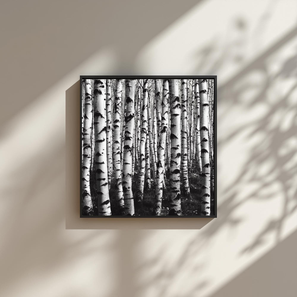 Black and White Birch Forest Wall Art, Minimalist Nature Canvas Print, Scandinavian Style Birch Tree Poster, Modern Woodland Home Decor