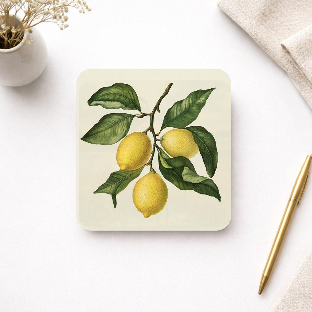 Lemon Branch Coaster Set of 4, Classic Botanical Kitchen Decor, Vintage Citrus Drink Coasters, Fresh Table Style