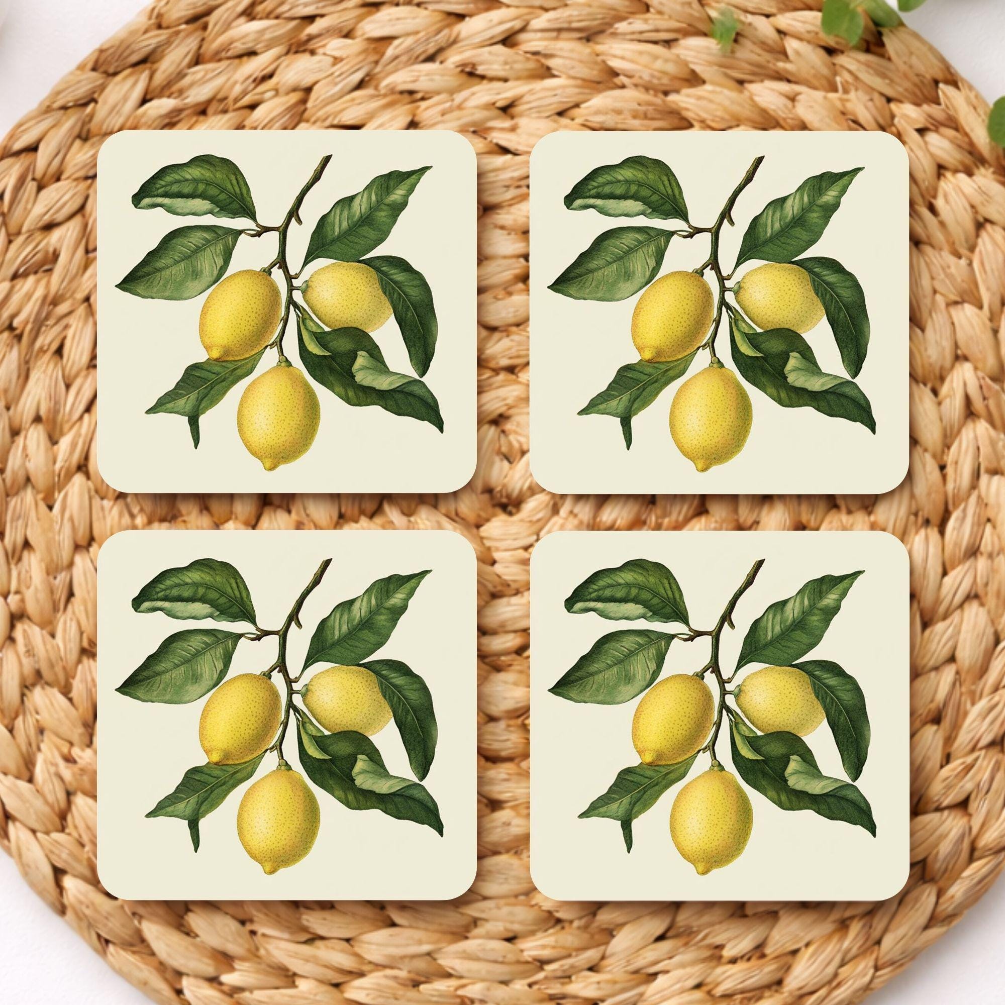 Lemon Branch Coaster Set of 4, Classic Botanical Kitchen Decor, Vintage Citrus Drink Coasters, Fresh Table Style