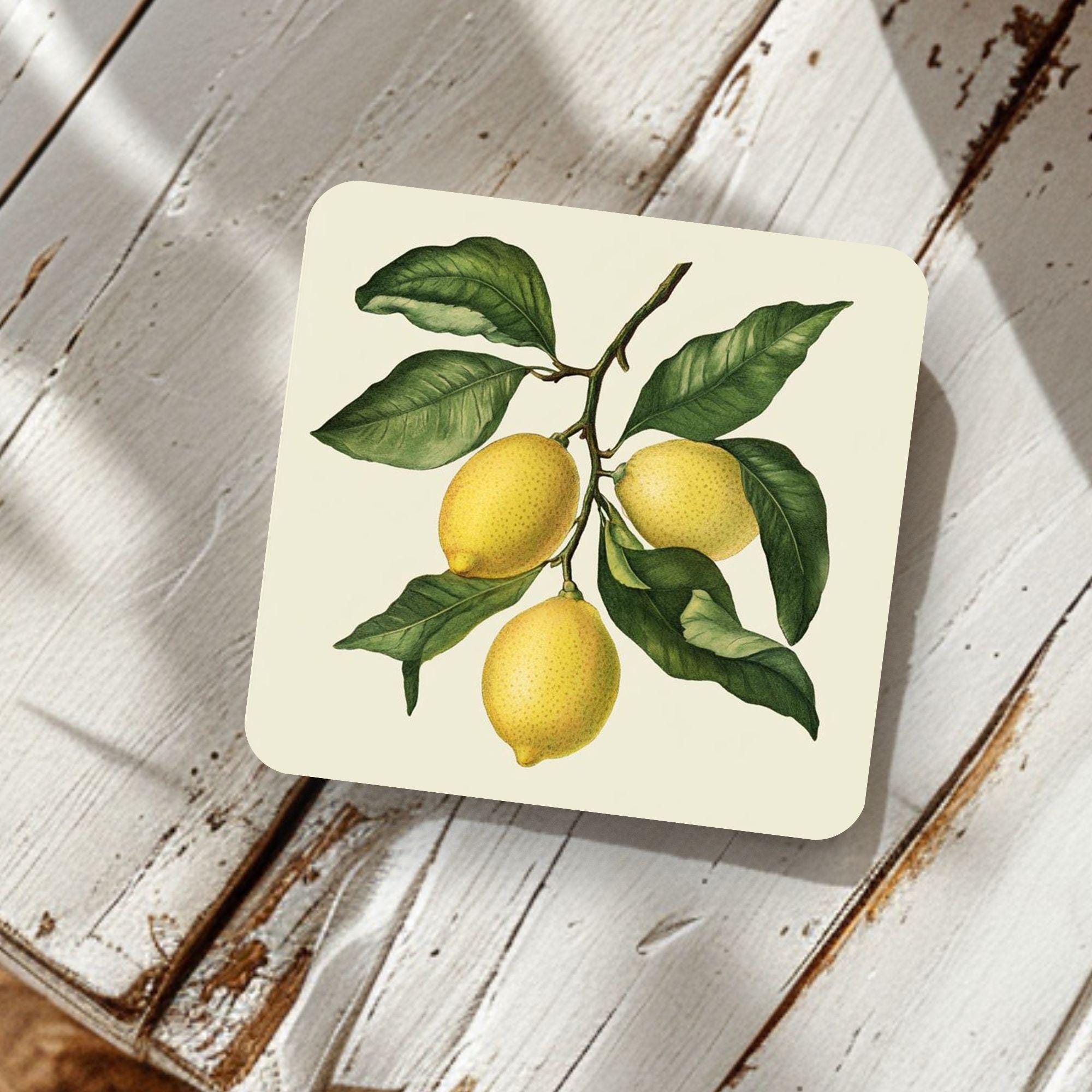 Lemon Branch Coaster Set of 4, Classic Botanical Kitchen Decor, Vintage Citrus Drink Coasters, Fresh Table Style