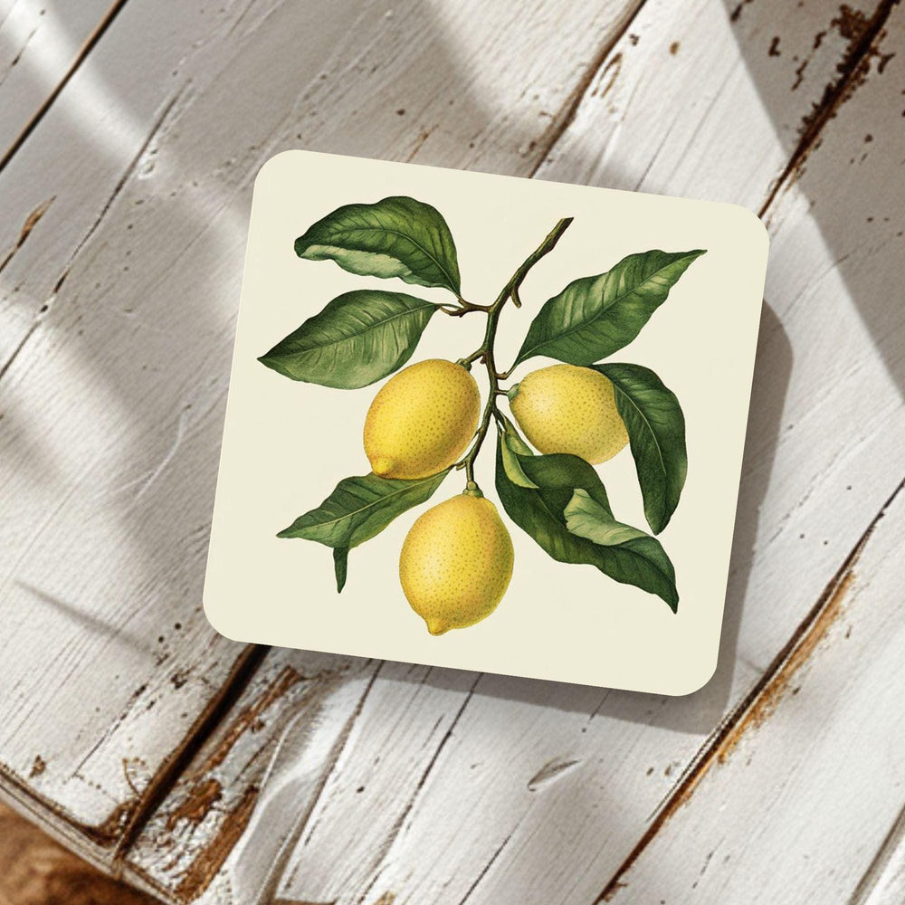 Lemon Branch Coaster Set of 4, Classic Botanical Kitchen Decor, Vintage Citrus Drink Coasters, Fresh Table Style