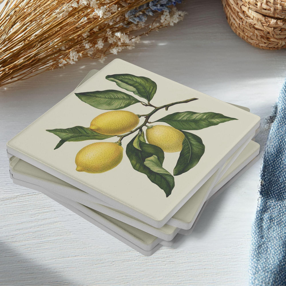 Lemon Branch Coaster Set of 4, Classic Botanical Kitchen Decor, Vintage Citrus Drink Coasters, Fresh Table Style